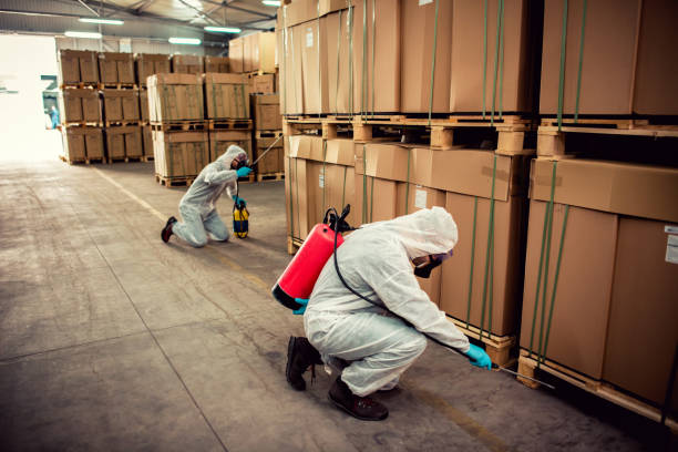 Best Pest Removal Services  in Edburgh, IN