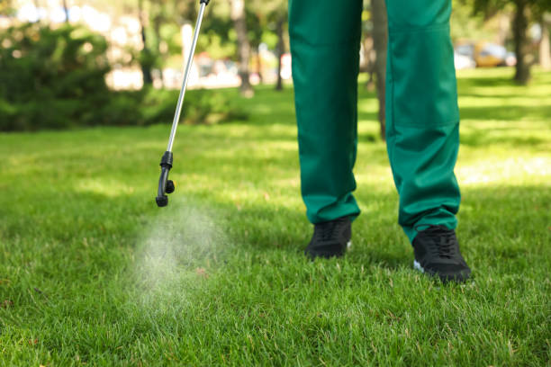 Best Flea Control Services  in Edburgh, IN