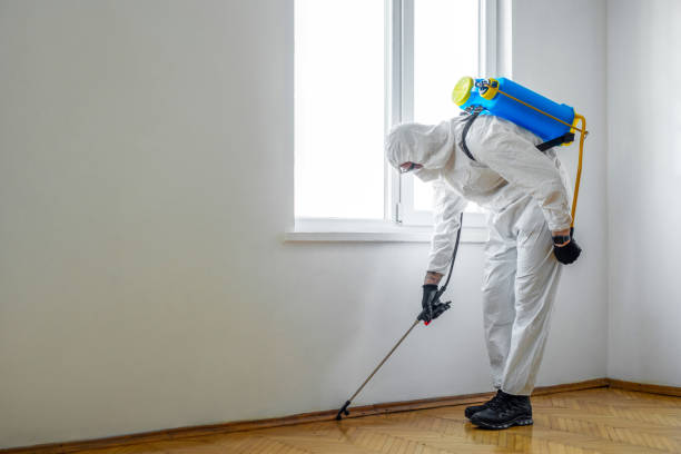 Best Residential Pest Control  in Edburgh, IN