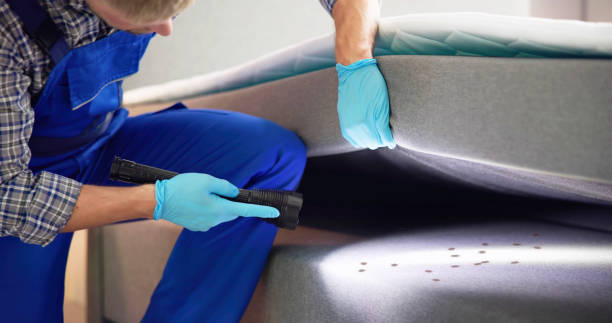 Pest Control for Restaurants in Edinburgh, IN