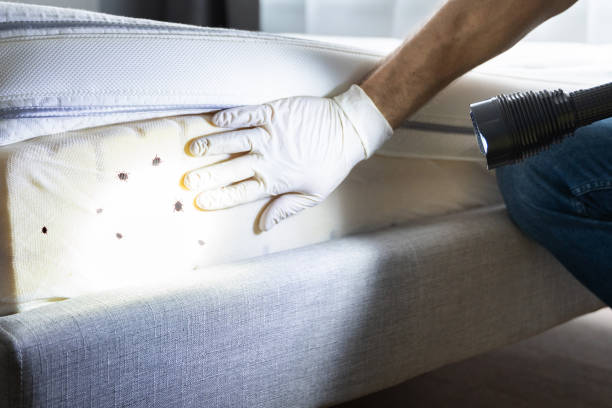 Professional Pest Control in Edinburgh, IN